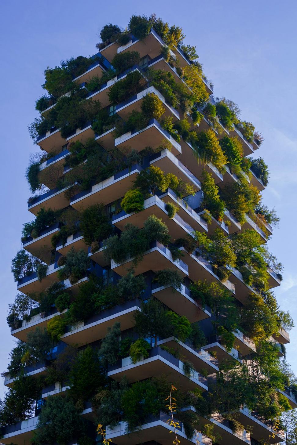 Sustainable Design Project